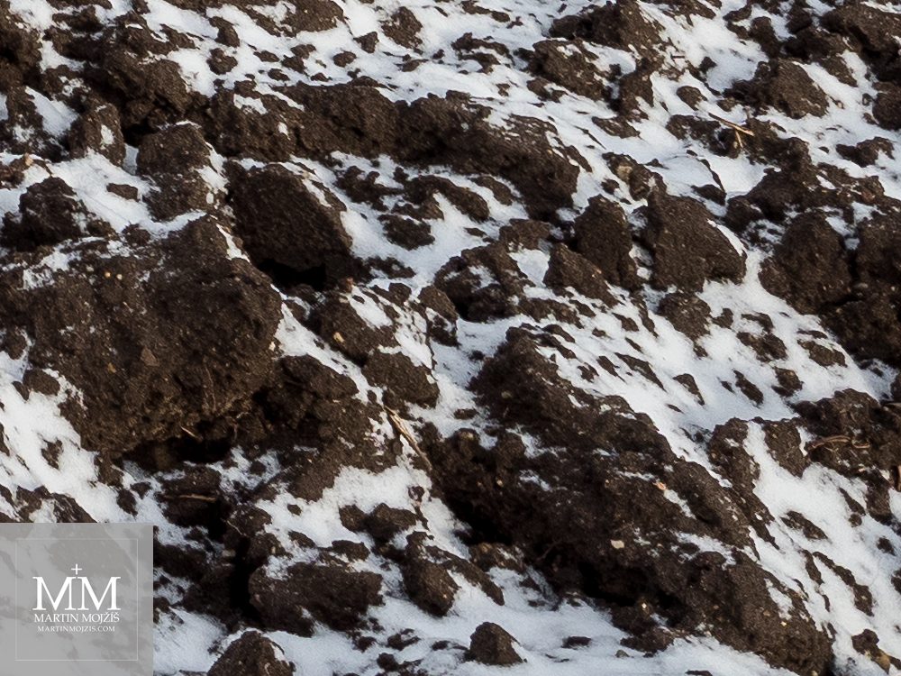 Snowy field, brown dirt close up. Photograph created with Olympus 12 - 40 mm 2.8 Pro lens.